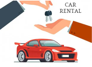 Vehicle Leasing Companies